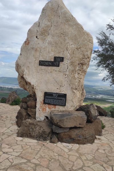 WhatsApp Image 2024-03-18 à 16.35.43_345e9139