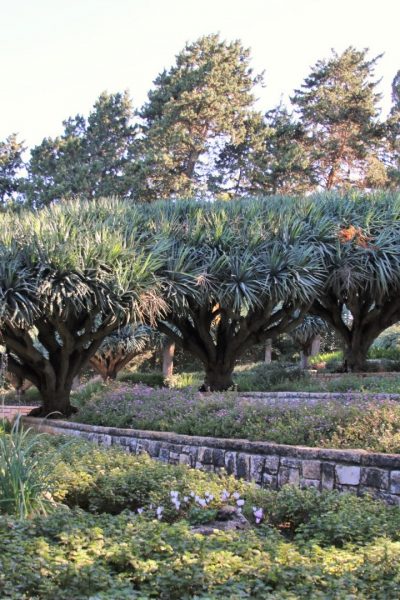 אל רמת הנדיב 12