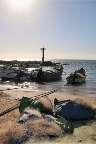 אל רמת הנדיב 14