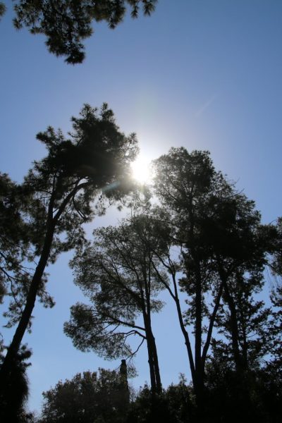 אל רמת הנדיב 3