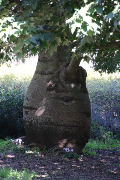 אל רמת הנדיב 6