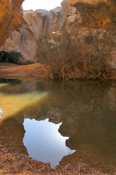 חתירה למכתש הגדול 4